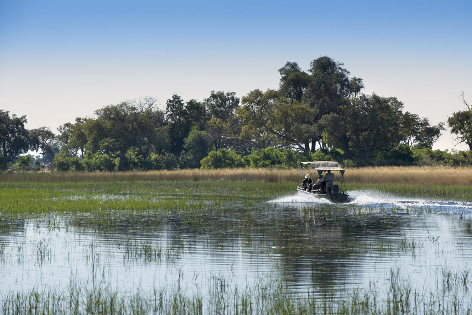 PlaceholderImage1302